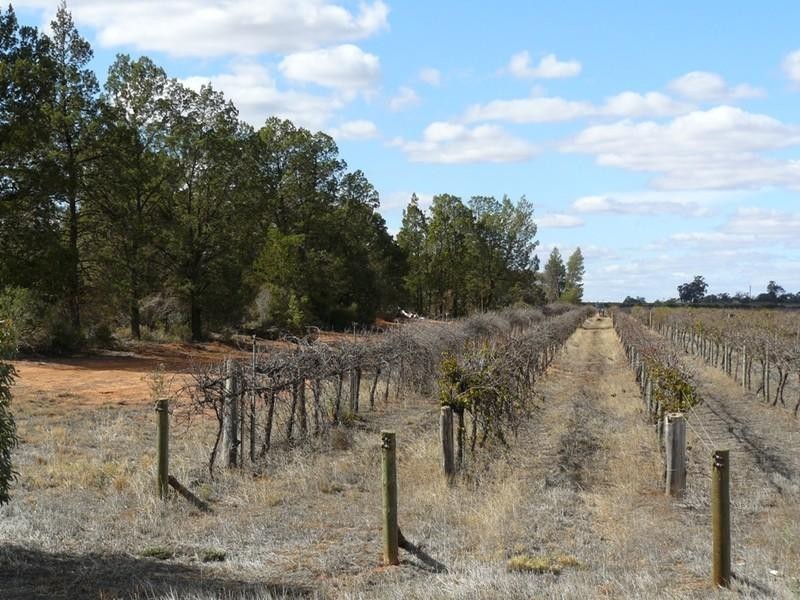 697a Boomerang Ave, Cardross VIC 3496