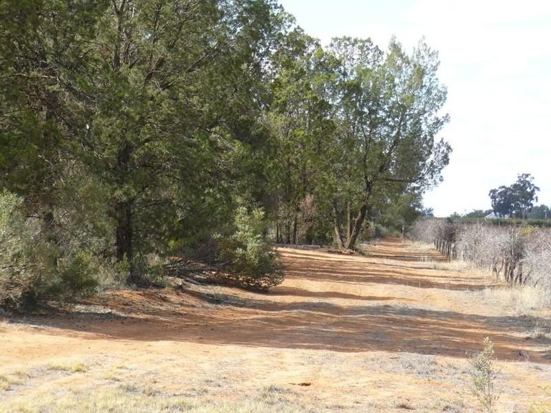 697a Boomerang Ave, Cardross VIC 3496