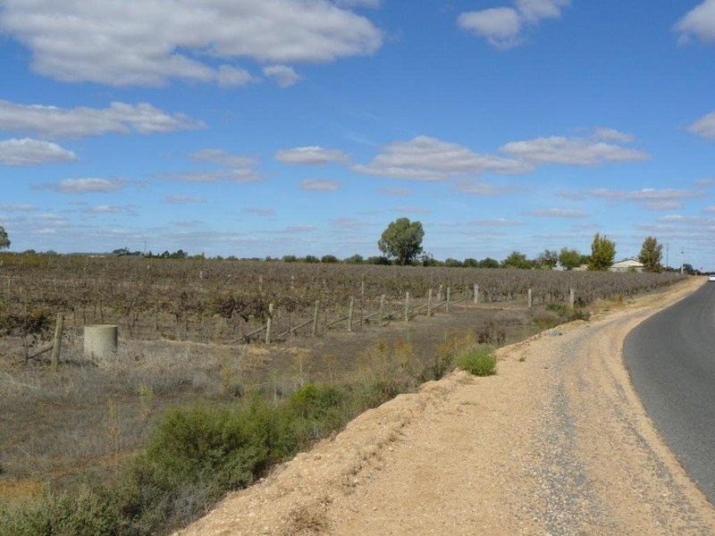 697a Boomerang Ave, Cardross VIC 3496