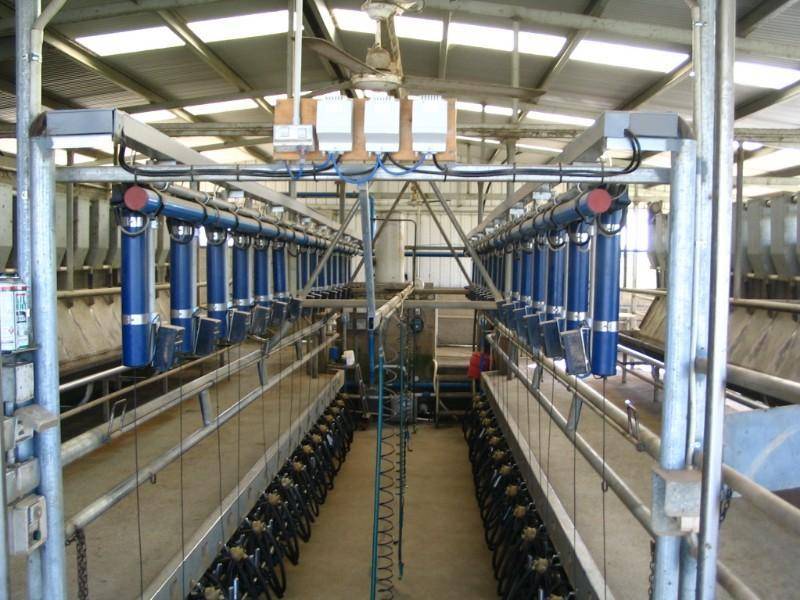 1786 Mitiamo Road, Kotta VIC 3565