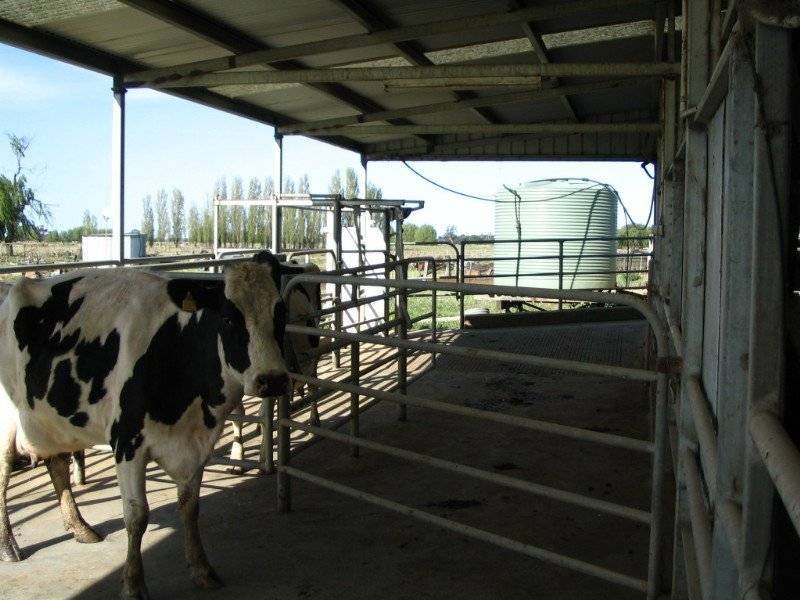 1786 Mitiamo Road, Kotta VIC 3565