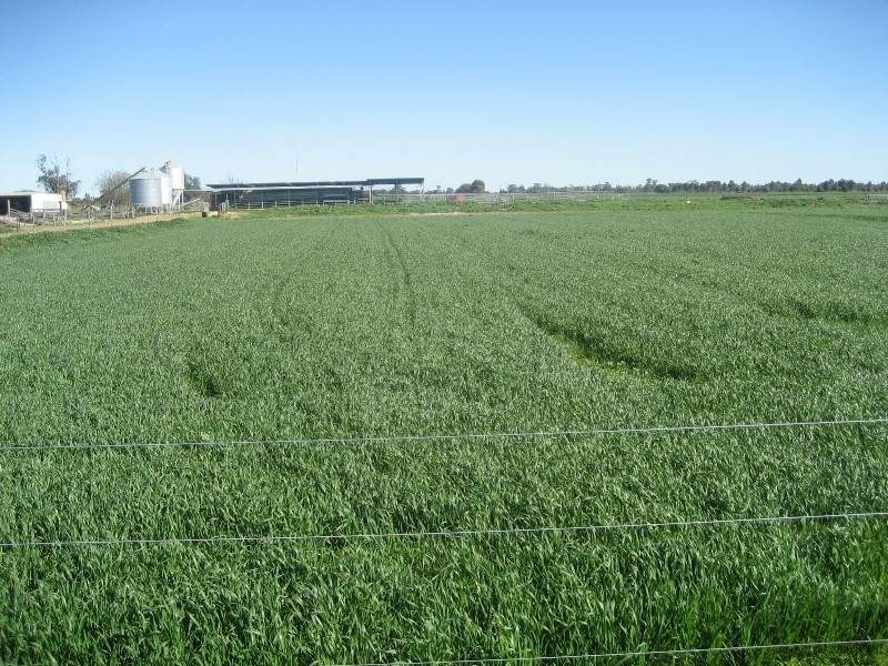 132 Byrne Road, Nanneella VIC 3561