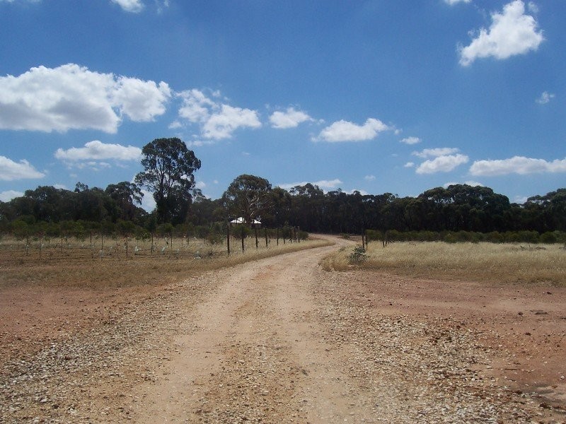 614E Wedderburn Road, St Arnaud VIC 3478
