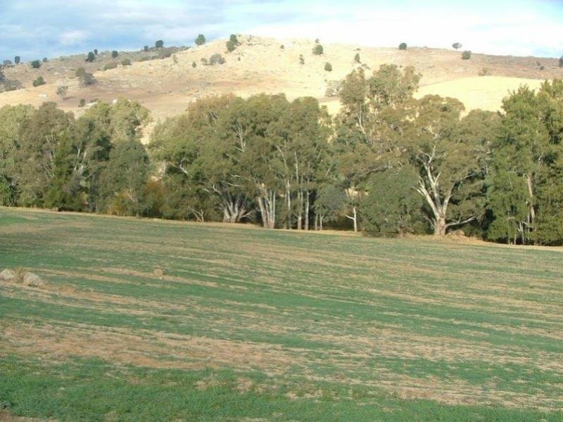 42 Clearview Road, Cowra NSW 2794
