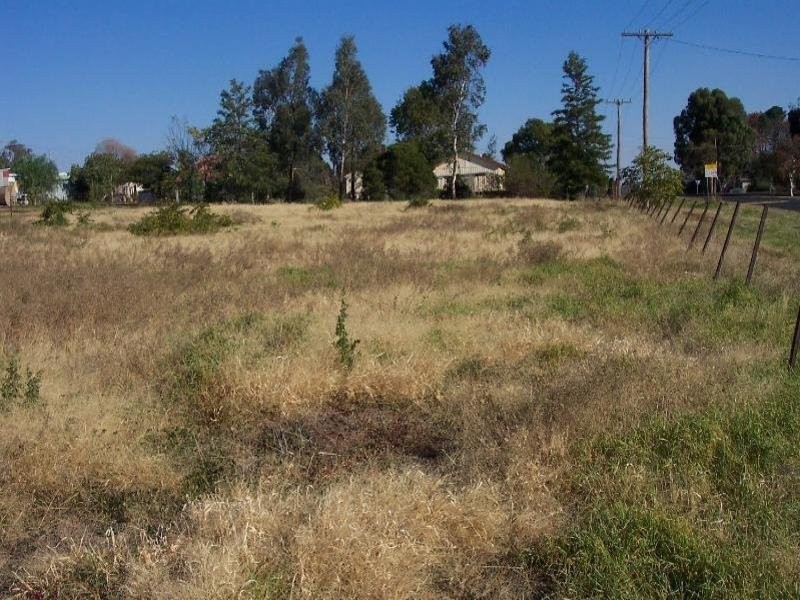 19 Rankin Street, Woodstock NSW 2793