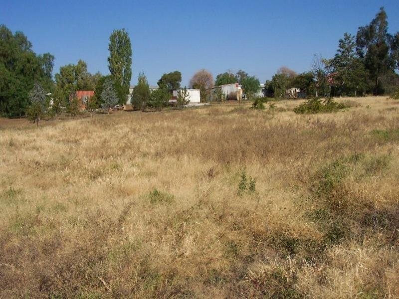 19 Rankin Street, Woodstock NSW 2793