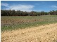 Lot 55 Kemps Road, Cowra NSW 2794