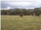 Lot 126 Glen Avon Road, Darbys Falls NSW 2793