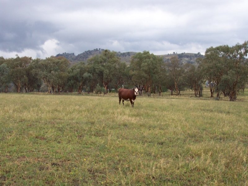 Lot 126 Glen Avon Road, Darbys Falls NSW 2793