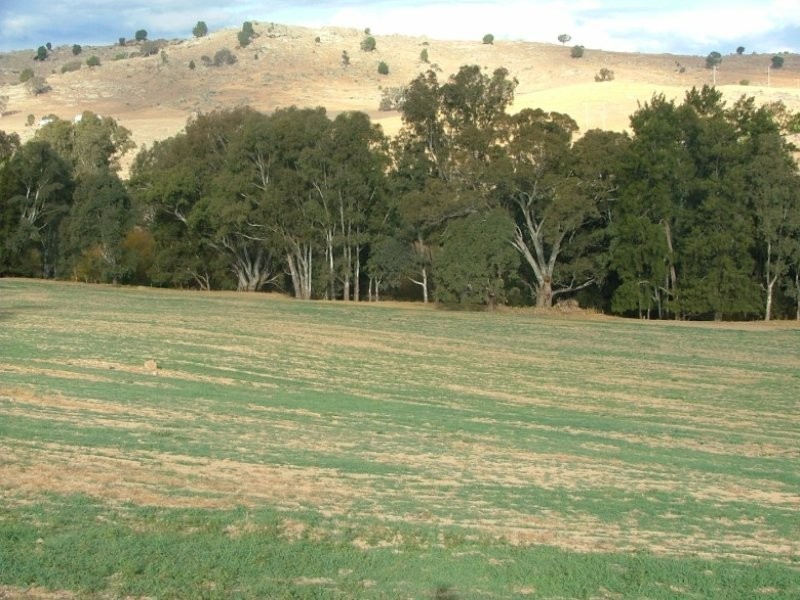 42 Clearview Road, Cowra NSW 2794