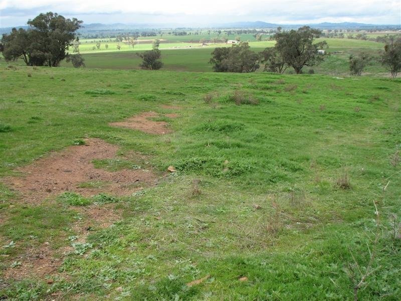 169 Cultowa Lane, Billimari NSW 2804