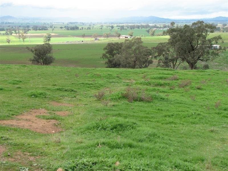 169 Cultowa Lane, Billimari NSW 2804