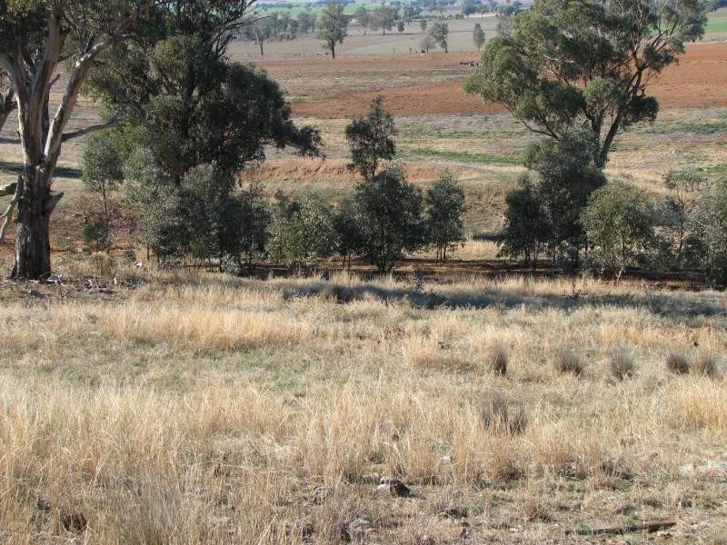 169 Cultowa Lane, Billimari NSW 2804