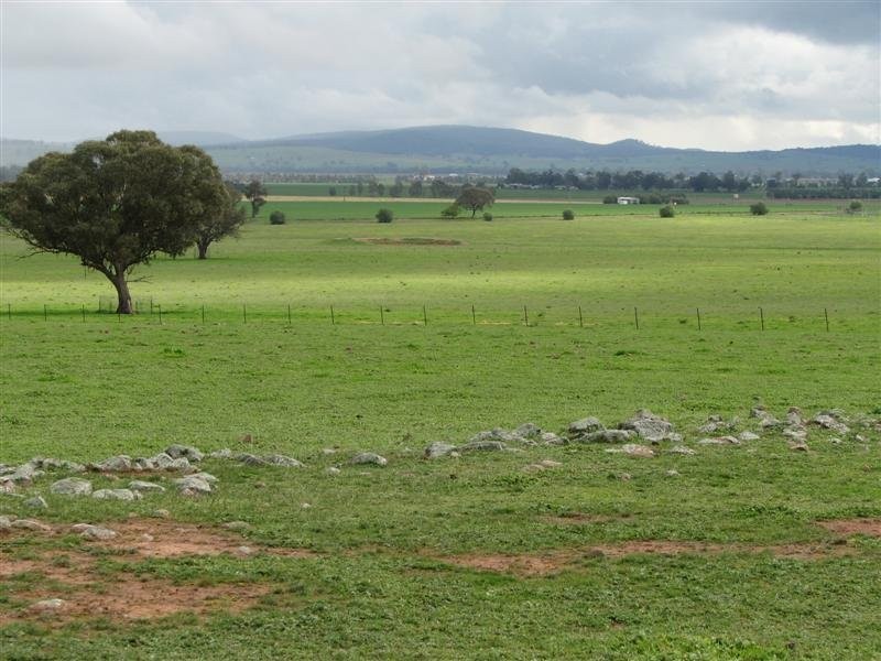 Lot 9 Cultowa Lane, Billimari NSW 2804