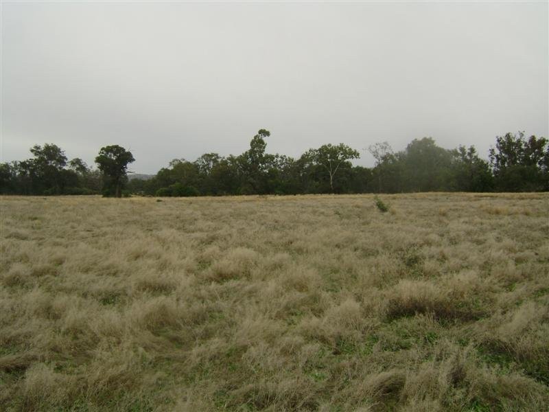 Lot 4 Waterfalls Road, Koorawatha NSW 2807