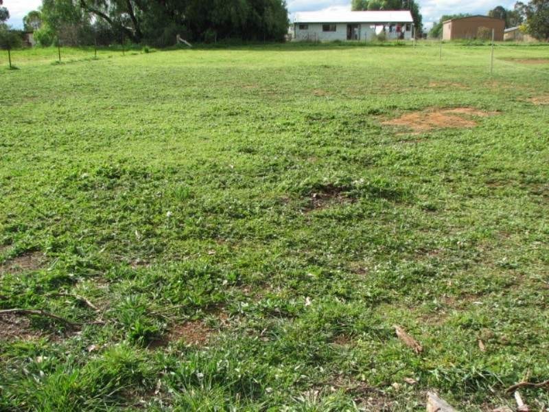 Lot 2 Bowen Street, Woodstock NSW 2793