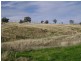 Lot 23 Pride Of Oak Road, Canowindra NSW 2804