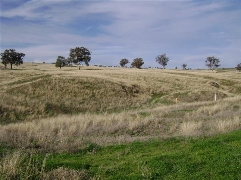 Lot 23 Pride Of Oak Road, Canowindra NSW 2804