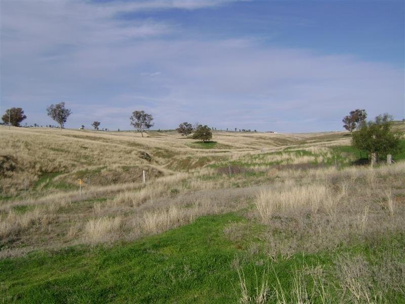 Lot 23 Pride Of Oak Road, Canowindra NSW 2804