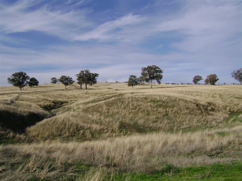 Lot 23 Pride Of Oak Road, Canowindra NSW 2804