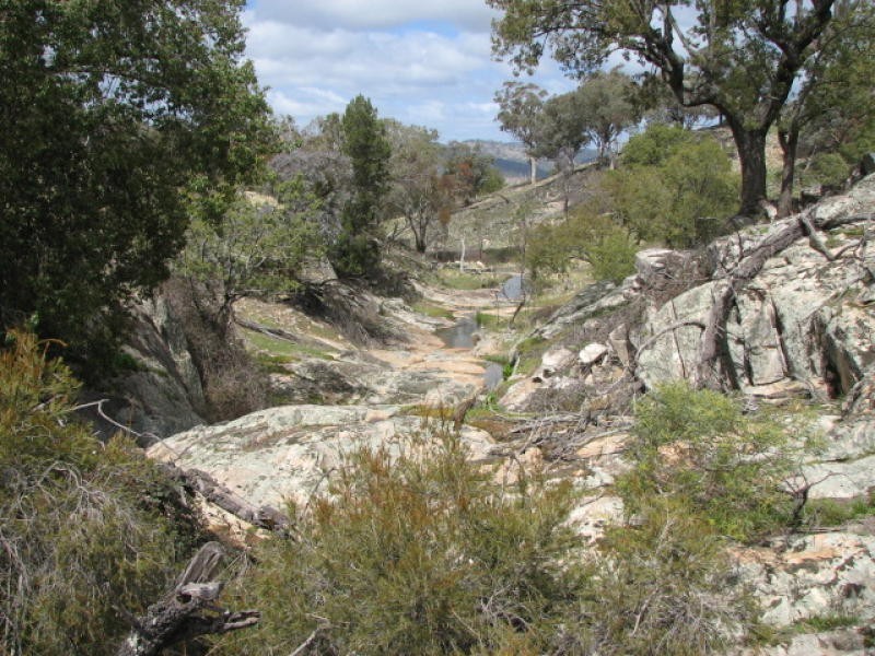 Lot 56 Reg Hailstone Way, Wyangala NSW 2808