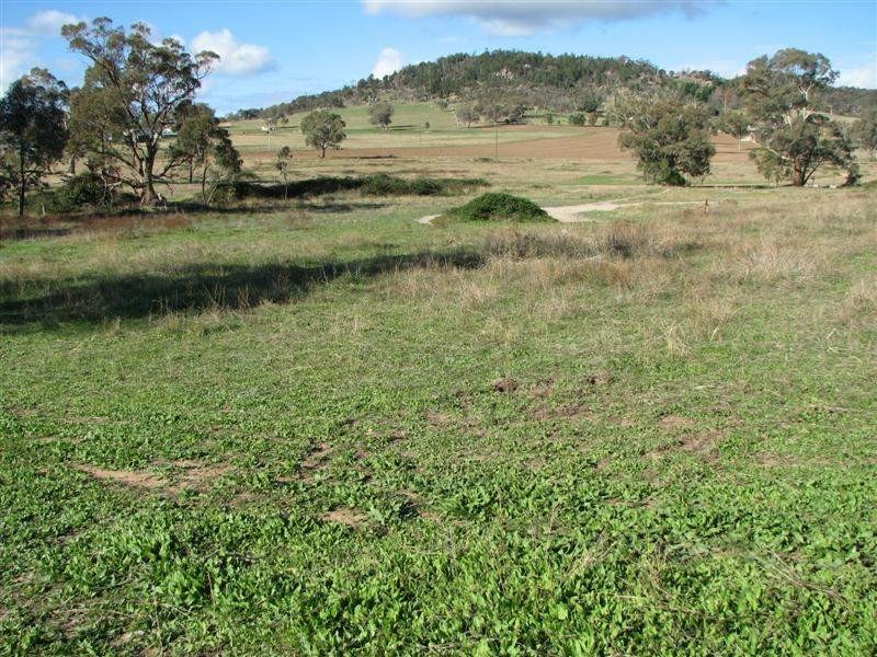 17 Pine Springs Road, Woodstock NSW 2793