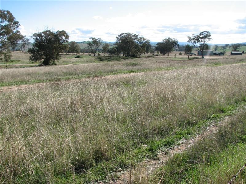 17 Pine Springs Road, Woodstock NSW 2793