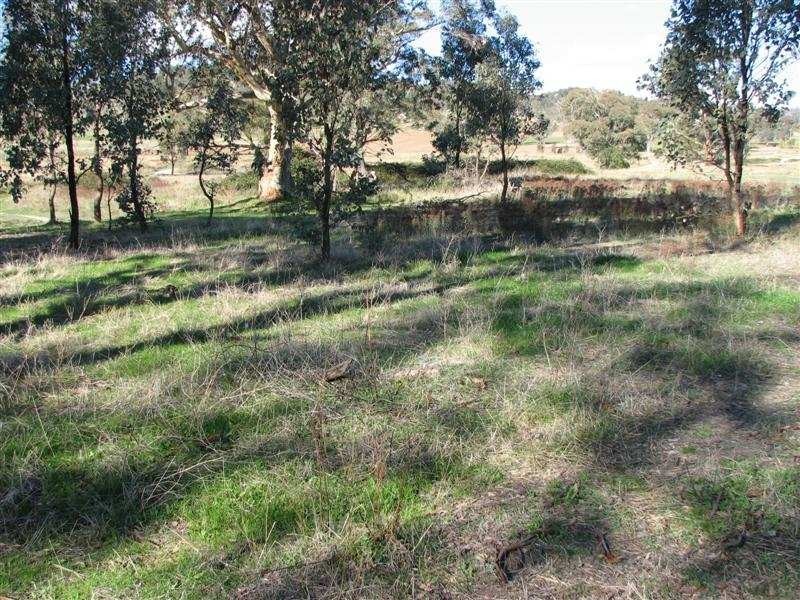 17 Pine Springs Road, Woodstock NSW 2793