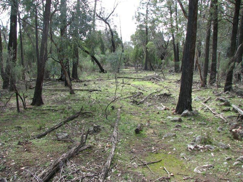 Lot 9 Conimbla Road, Cowra NSW 2794