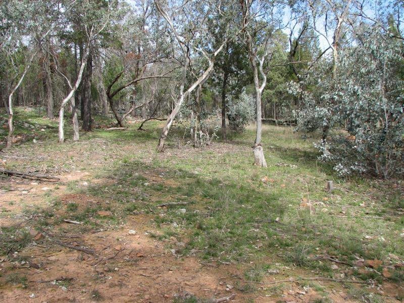 Lot 9 Conimbla Road, Cowra NSW 2794