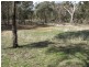 Lot 9 Conimbla Road, Cowra NSW 2794