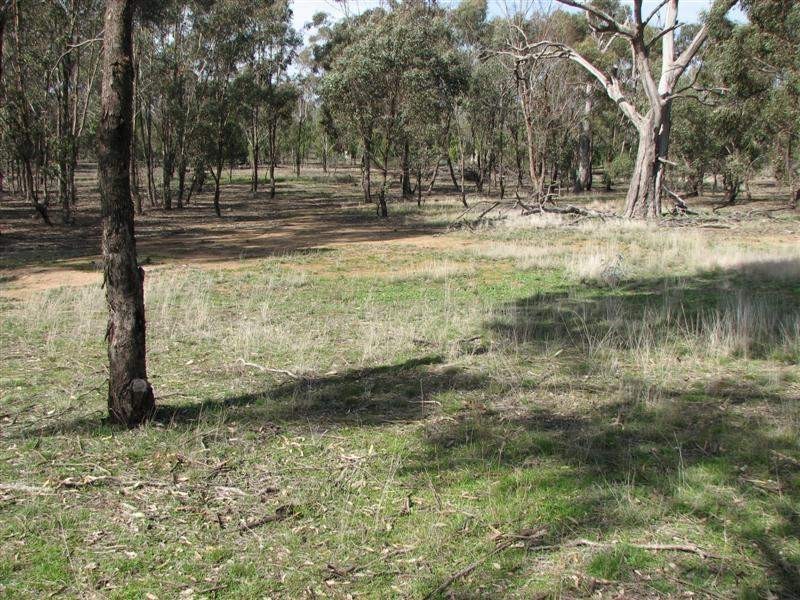 Lot 9 Conimbla Road, Cowra NSW 2794