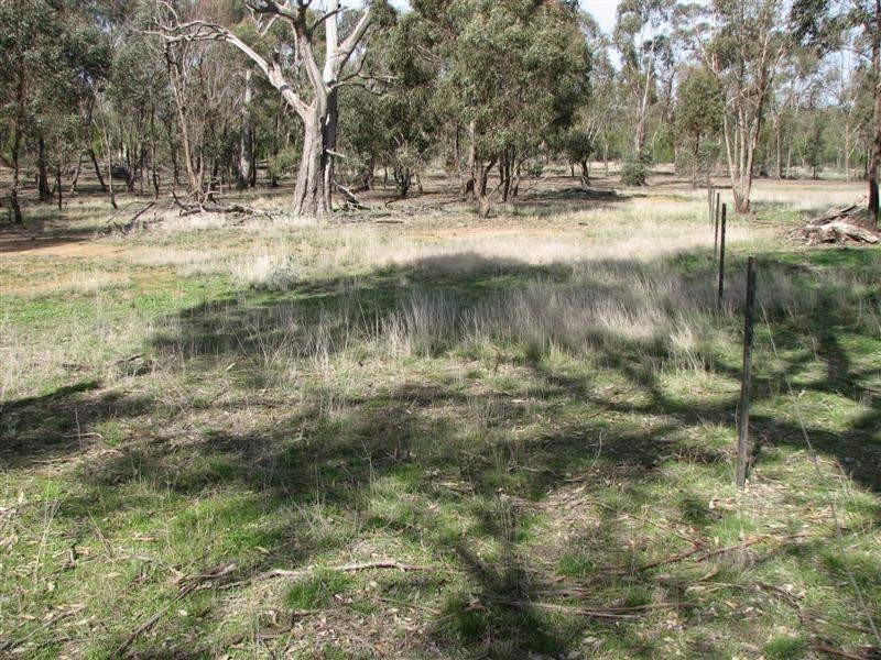 Lot 9 Conimbla Road, Cowra NSW 2794