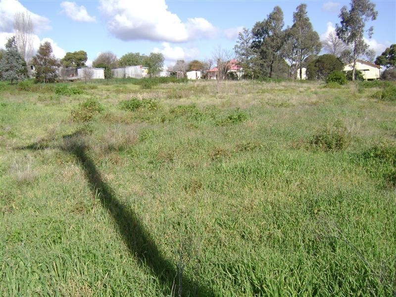 19 Rankin Street, Woodstock NSW 2793