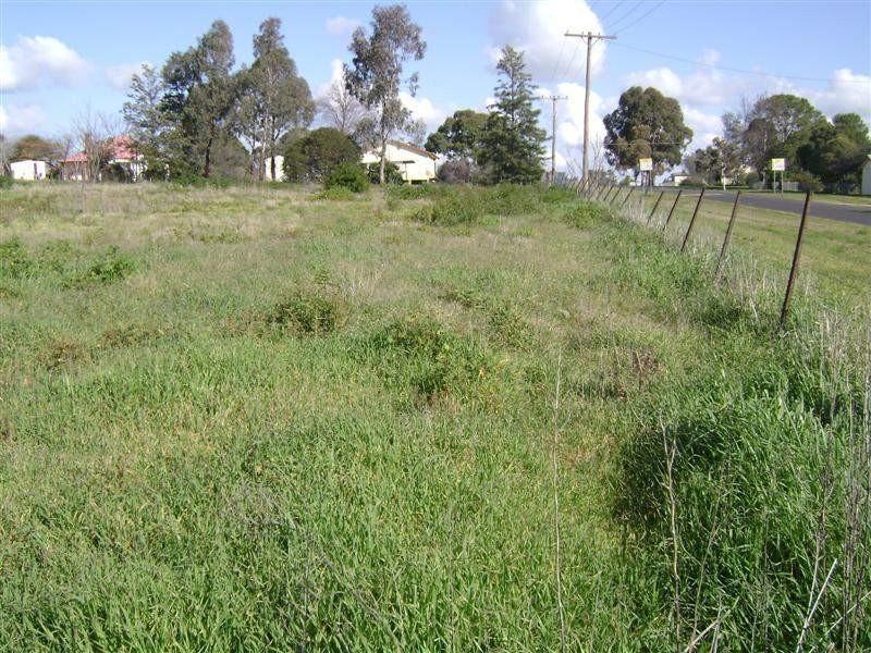 19 Rankin Street, Woodstock NSW 2793