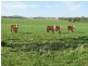 0 Rivers Road, Canowindra NSW 2804