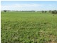 0 Rivers Road, Canowindra NSW 2804