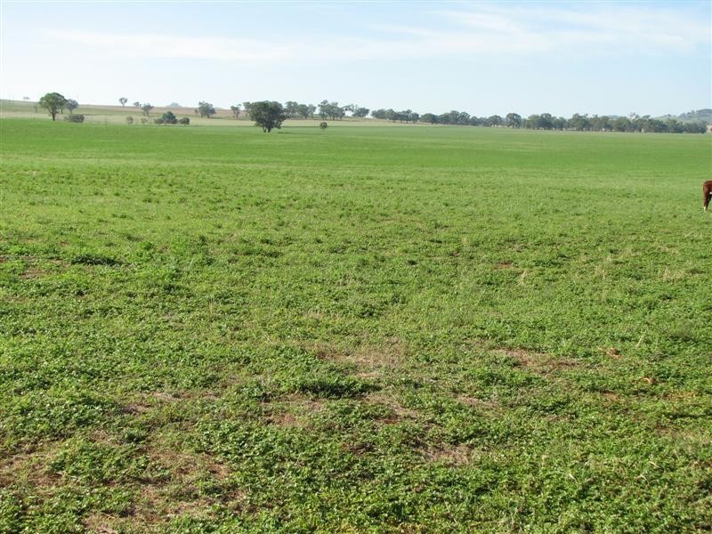 0 Rivers Road, Canowindra NSW 2804