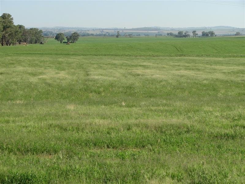 0 Rivers Road, Canowindra NSW 2804