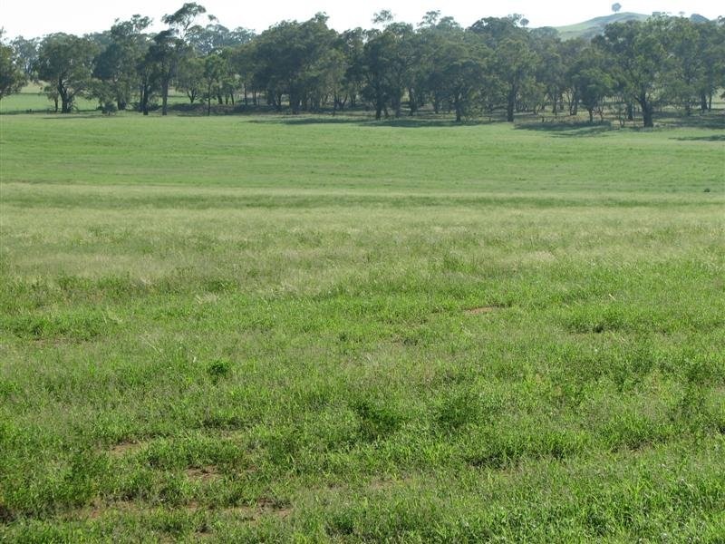 0 Rivers Road, Canowindra NSW 2804