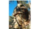 Lot 31 Cobb Way, Woodstock NSW 2793