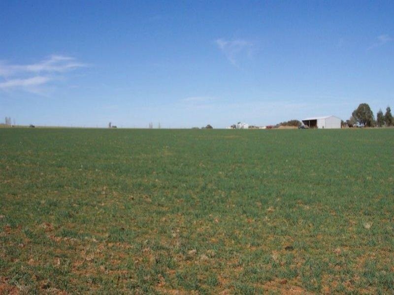 125 Kangaroo Flat Road, Cowra NSW 2794