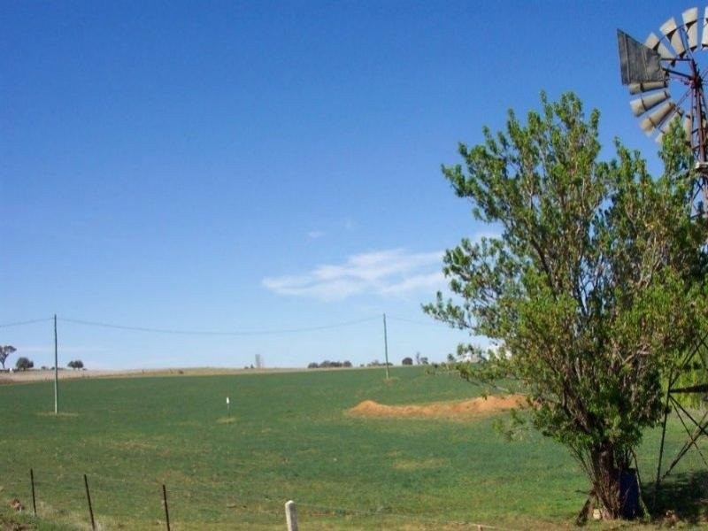 125 Kangaroo Flat Road, Cowra NSW 2794