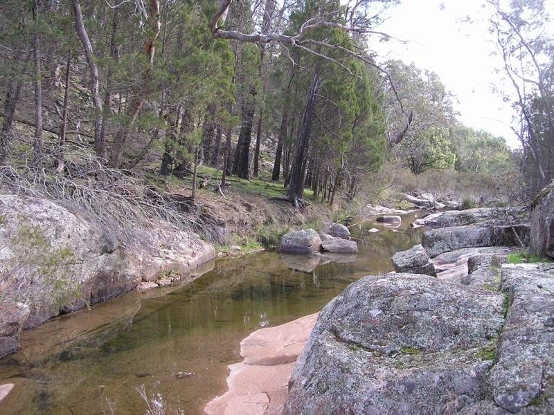 351 Horton Drive, Woodstock NSW 2793