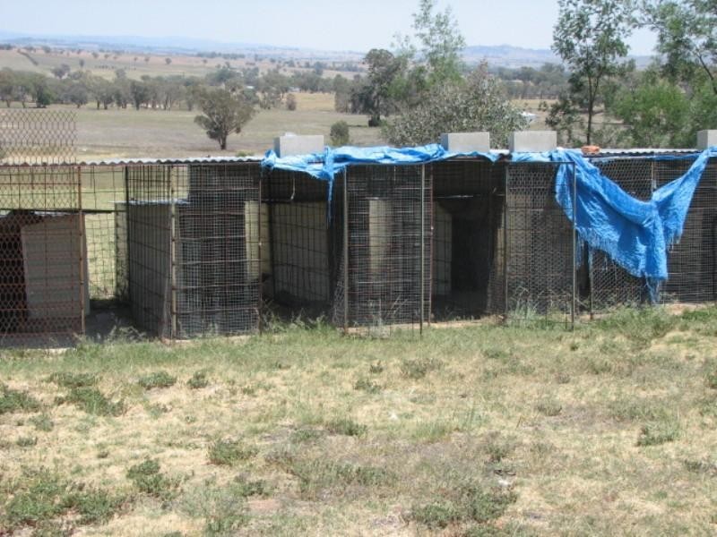 60 Pine Springs Road, Woodstock NSW 2793