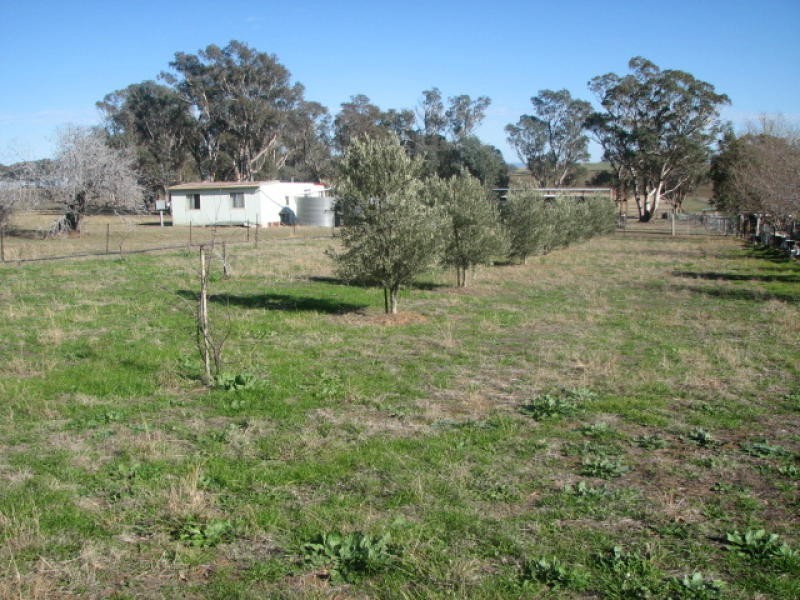 Lot 61 Pine Mount Road, Cowra NSW 2794
