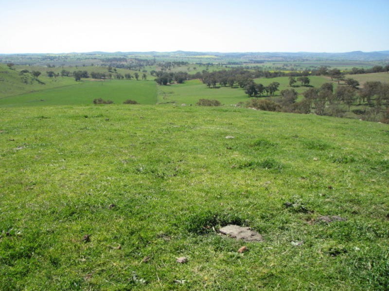 359 Gallaghers Road, Canowindra NSW 2804