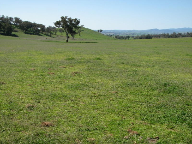 359 Gallaghers Road, Canowindra NSW 2804