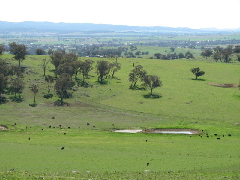 359 Gallaghers Road, Canowindra NSW 2804