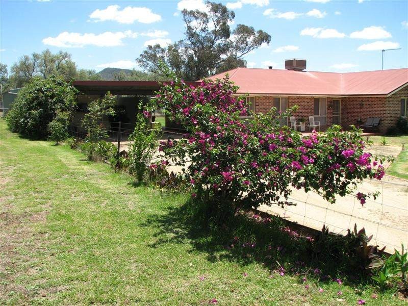 50 Oakville Road, Cowra NSW 2794